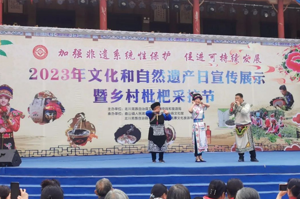 枇杷.jpg